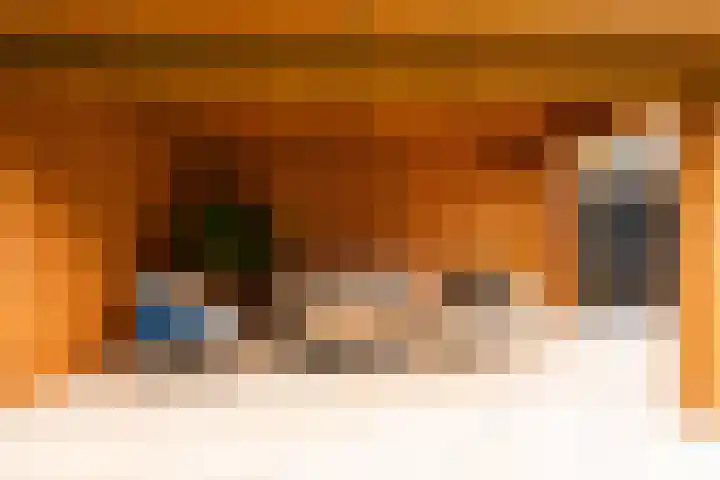 Viottalaan 1 Baarn thumbnail 35