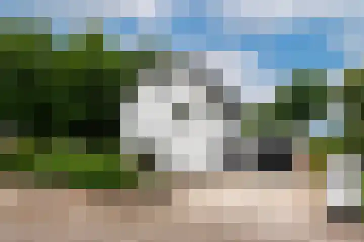 Viottalaan 1 Baarn thumbnail 37