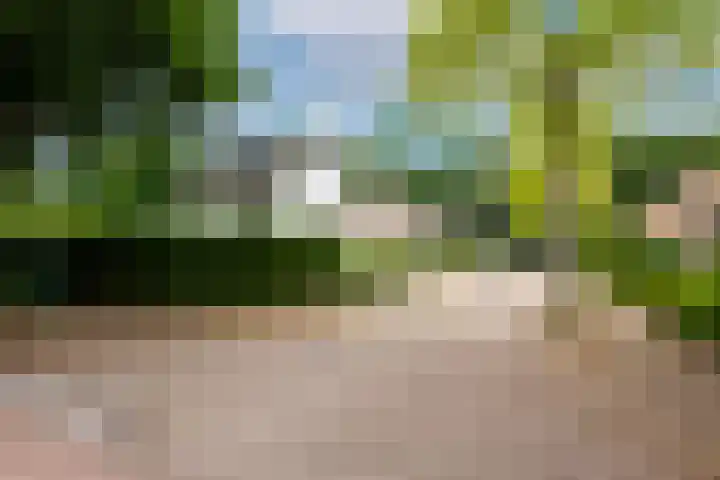Viottalaan 1 Baarn thumbnail 39