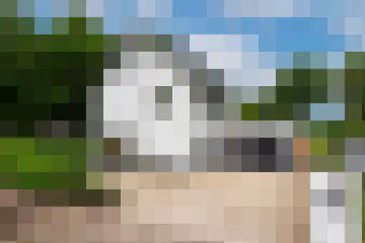Viottalaan 1 Baarn thumbnail 45