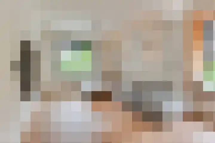Viottalaan 1 Baarn thumbnail 7