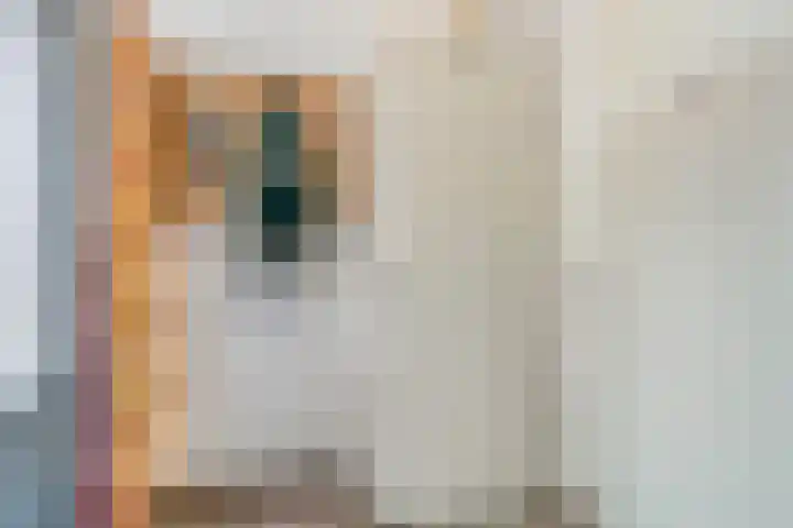 Virgo 71 Assen thumbnail 10