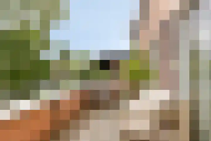 Virgo 71 Assen thumbnail 22