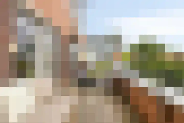 Virgo 71 Assen thumbnail 23