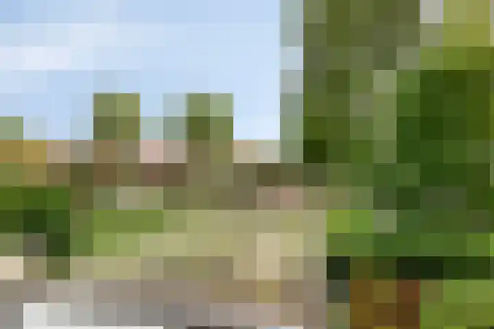 Virgo 71 Assen thumbnail 24