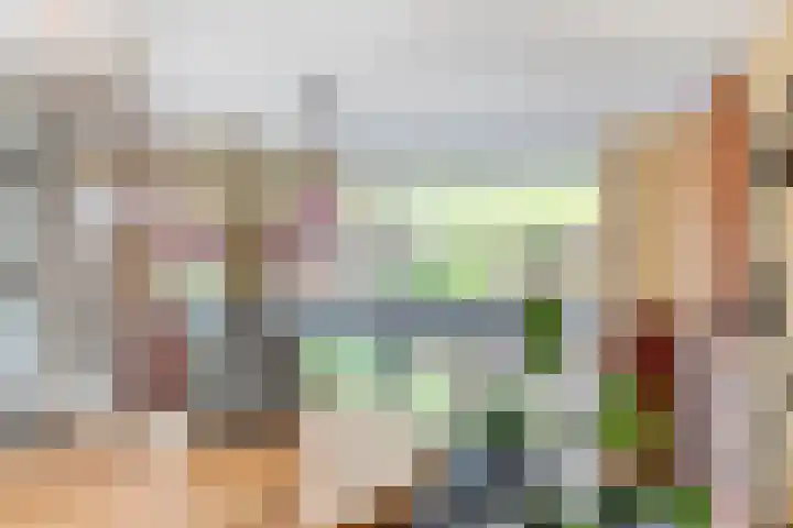 Virgo 71 Assen thumbnail 25