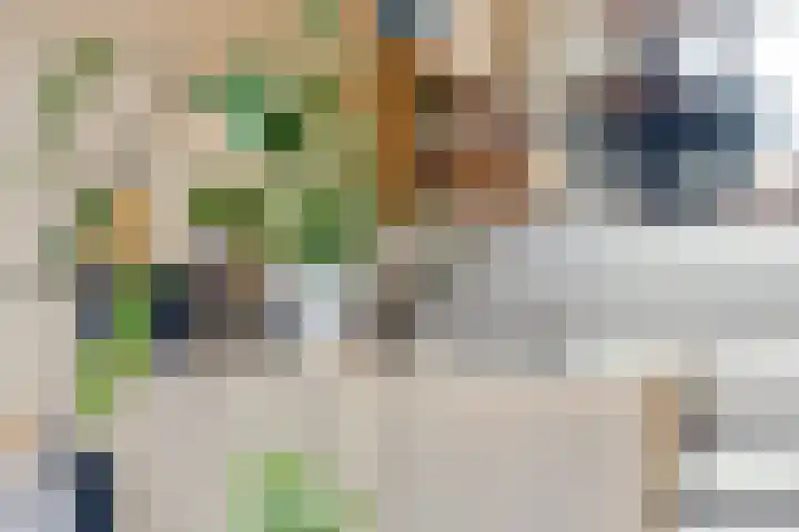 Virgo 71 Assen thumbnail 27