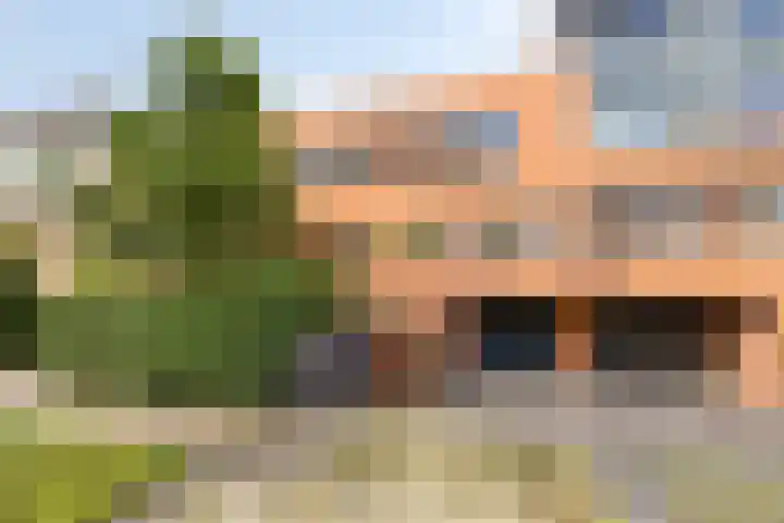 Virgo 71 Assen foto 3