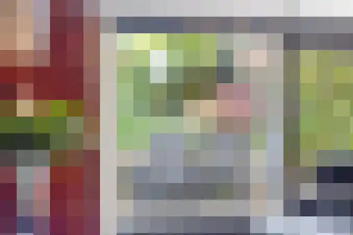 Virgo 71 Assen thumbnail 30