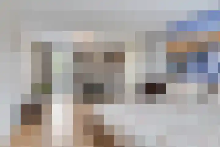 Virgo 71 Assen thumbnail 33