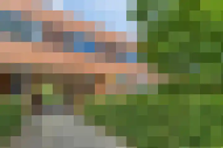 Virgo 71 Assen thumbnail 4