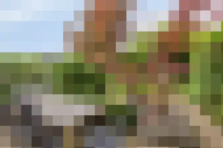 Virgo 71 Assen thumbnail 45