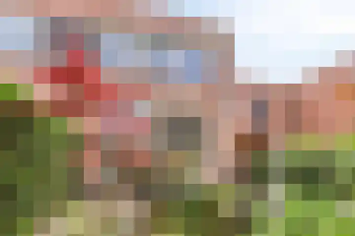 Virgo 71 Assen thumbnail 46