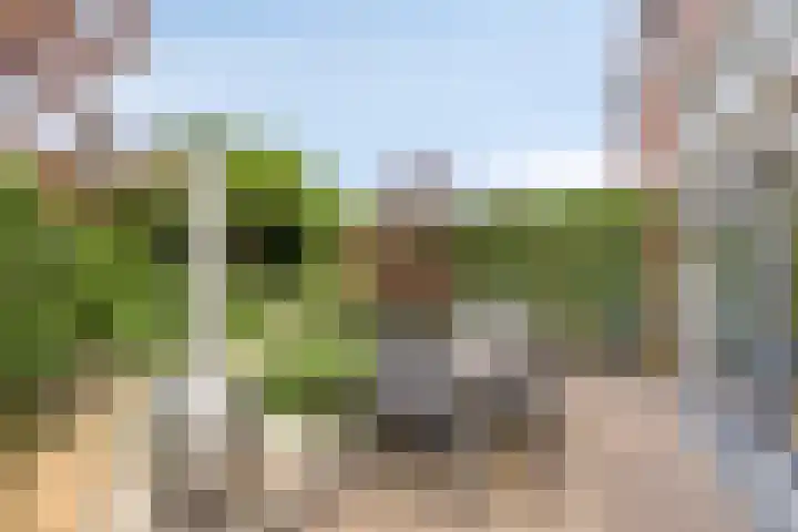 Virgo 71 Assen thumbnail 47