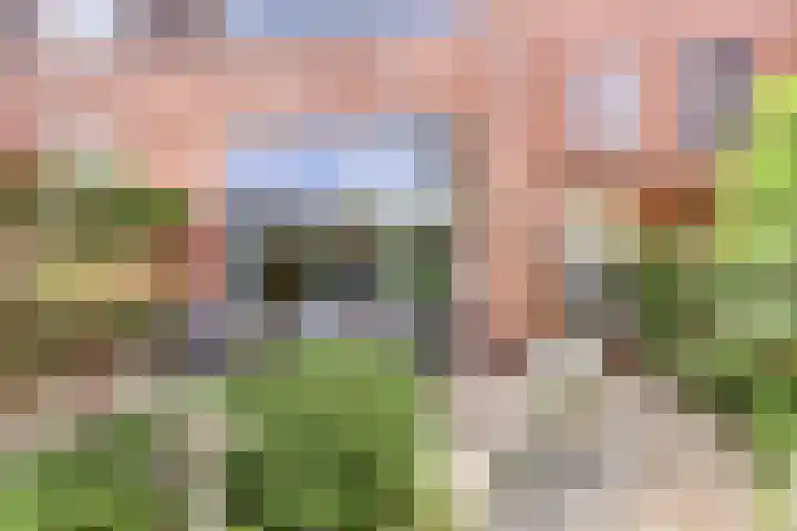 Virgo 71 Assen thumbnail 48