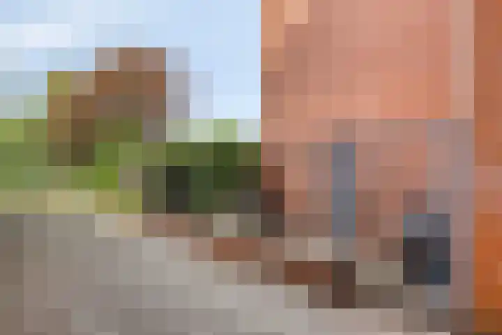 Virgo 71 Assen thumbnail 49