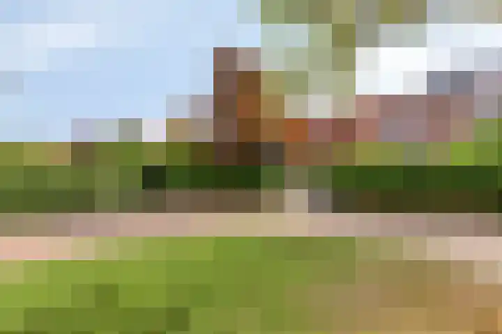 Virgo 71 Assen thumbnail 50