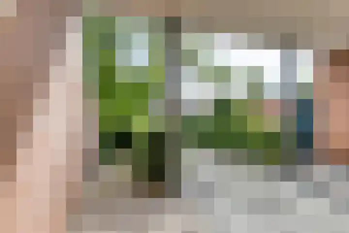 Virgo 71 Assen thumbnail 6