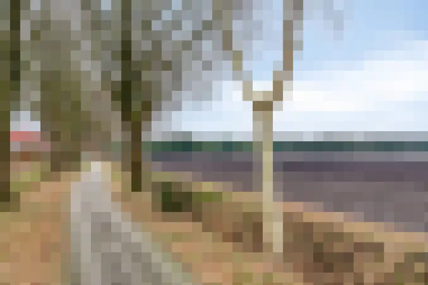 Virgo 73 Assen thumbnail 57