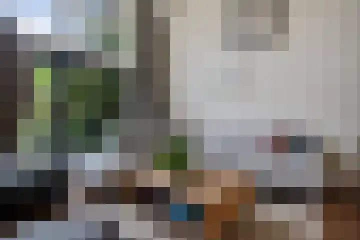 Virgo 79 Assen thumbnail 11