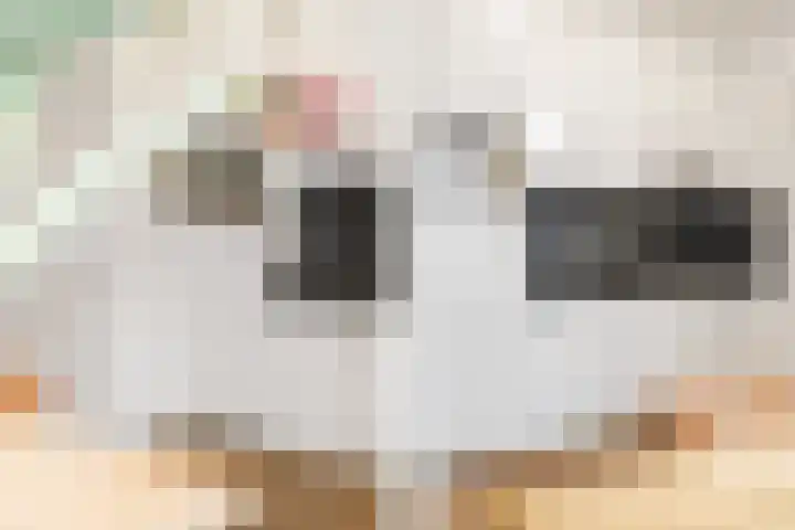 Virgo 79 Assen thumbnail 13