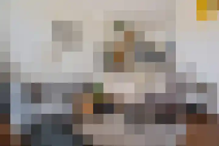 Virgo 79 Assen foto 2