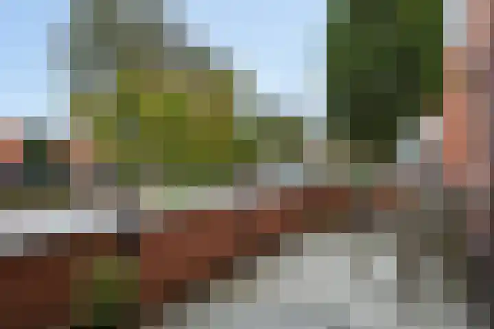 Virgo 79 Assen thumbnail 20