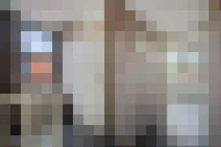 Virgo 79 Assen thumbnail 23