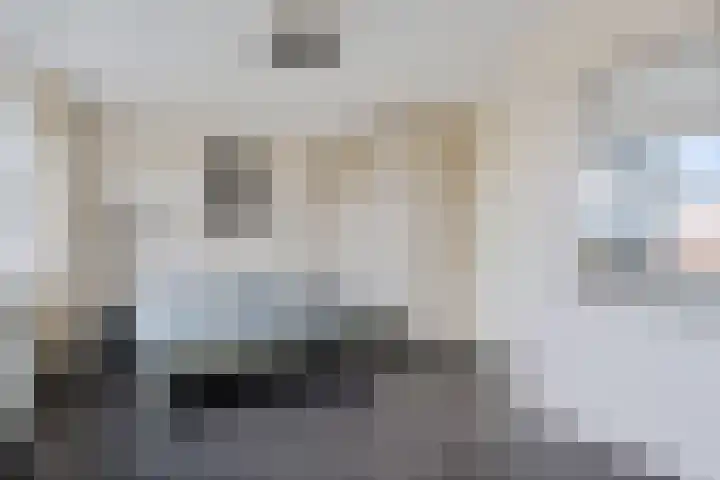 Virgo 79 Assen thumbnail 26