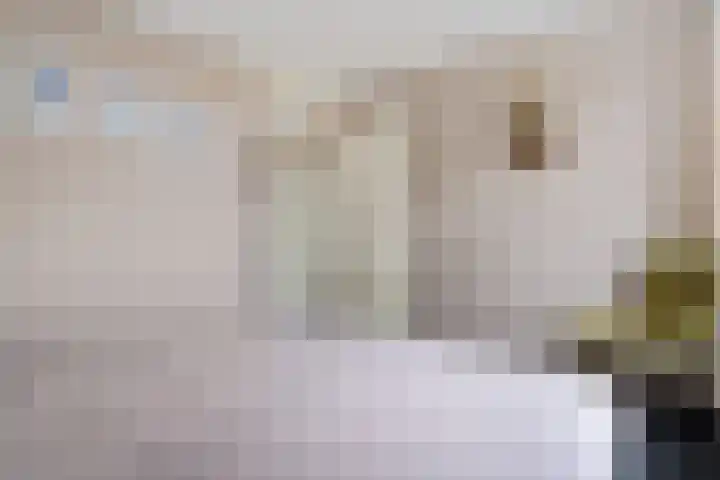 Virgo 79 Assen thumbnail 28