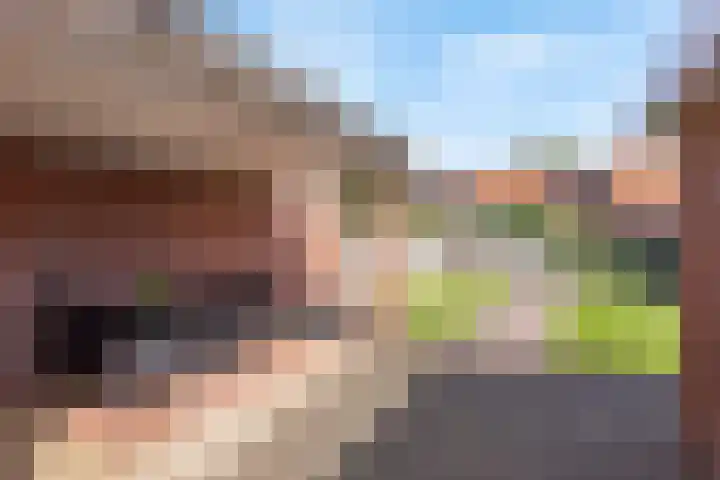 Virgo 79 Assen thumbnail 31