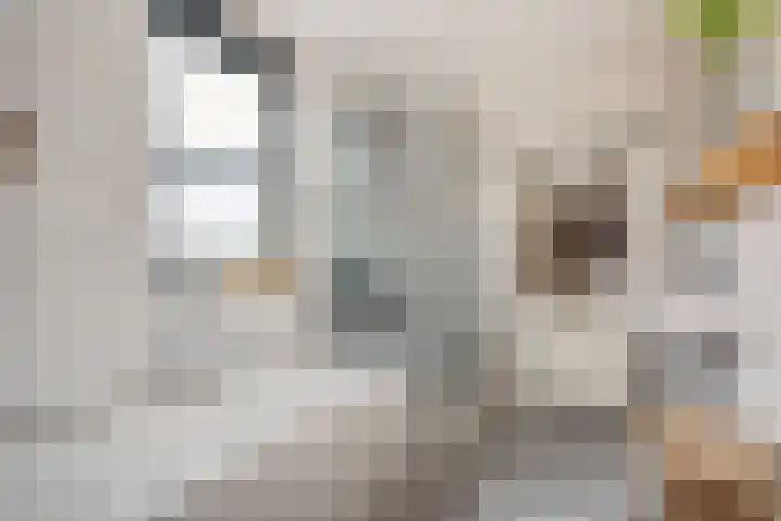 Virgo 79 Assen thumbnail 31