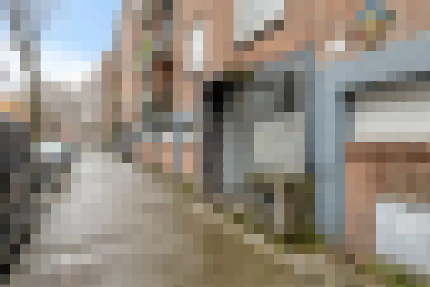 Virgo 79 Assen thumbnail 36