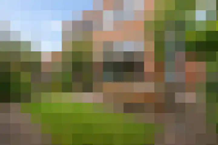 Virgo 79 Assen thumbnail 36