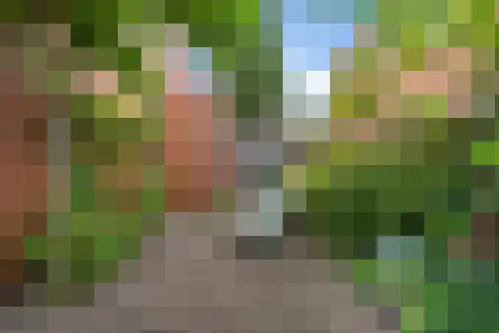 Virgo 79 Assen thumbnail 37