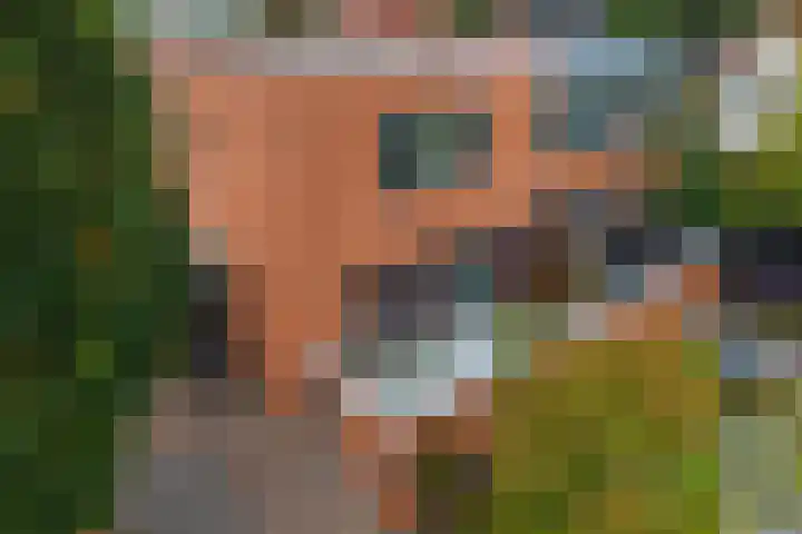 Virgo 79 Assen thumbnail 38