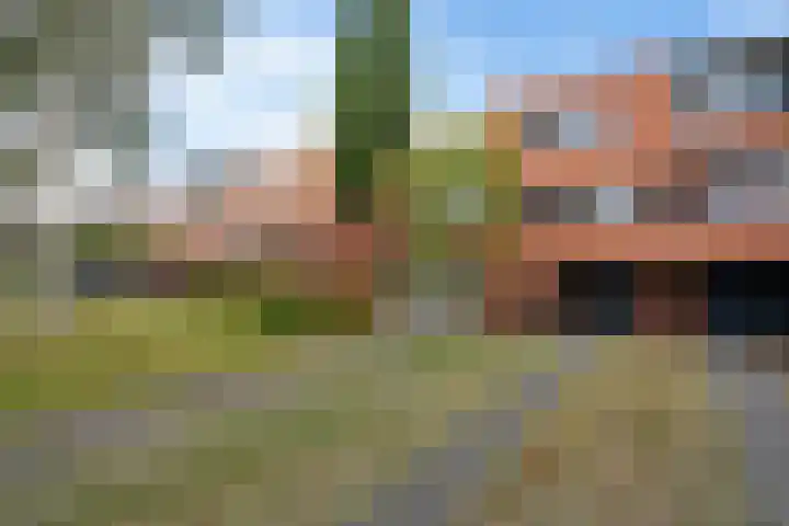 Virgo 79 Assen thumbnail 39