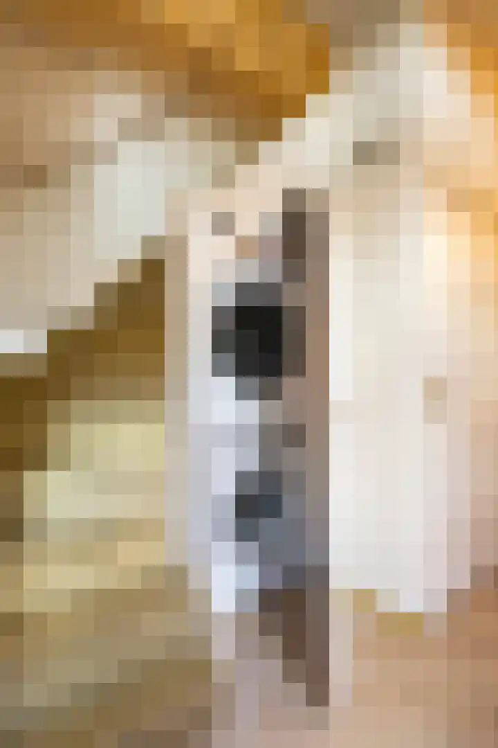 Virgo 79 Assen thumbnail 4