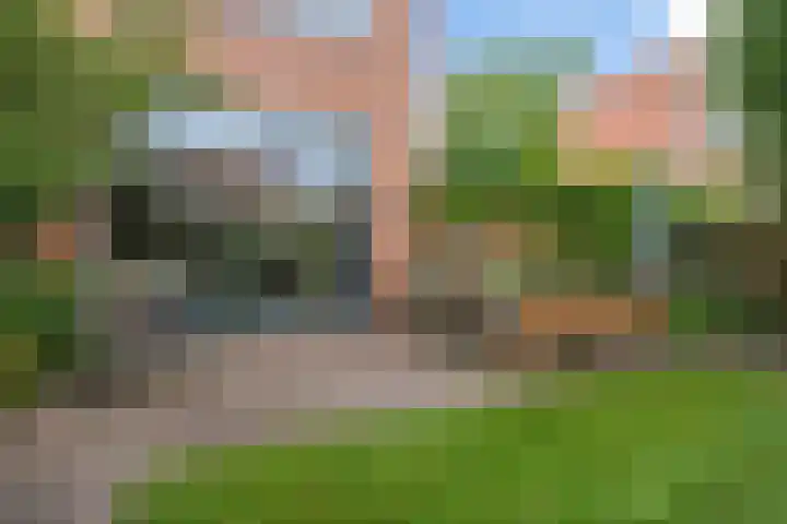 Virgo 79 Assen thumbnail 4