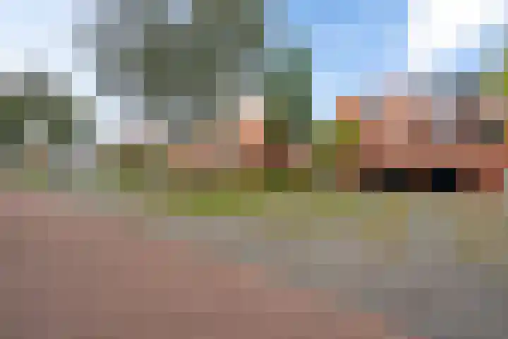 Virgo 79 Assen thumbnail 40