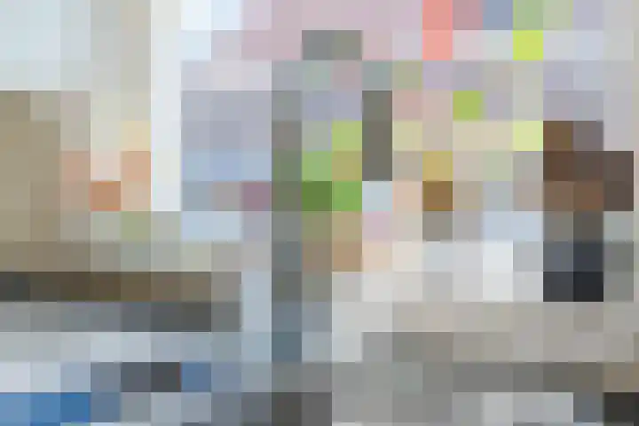 Virmundtstraat 84 Gemert thumbnail 14