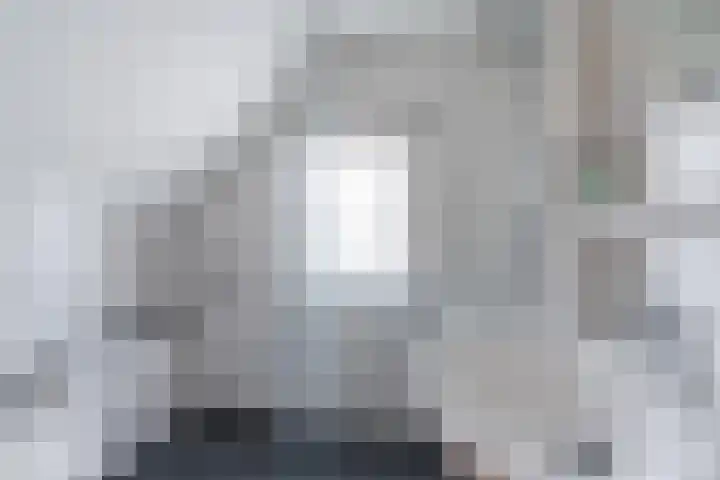 Virmundtstraat 84 Gemert thumbnail 22