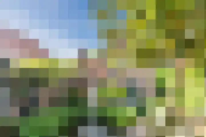 Virmundtstraat 84 Gemert thumbnail 24