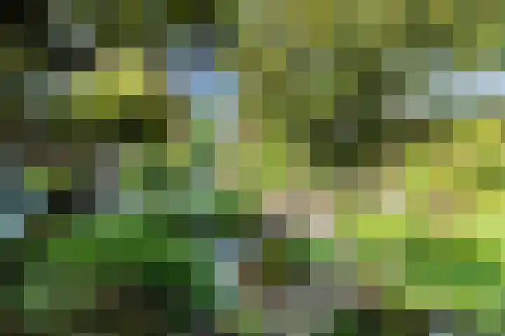 Virmundtstraat 84 Gemert thumbnail 25
