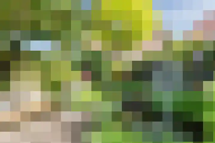Virmundtstraat 84 Gemert thumbnail 26