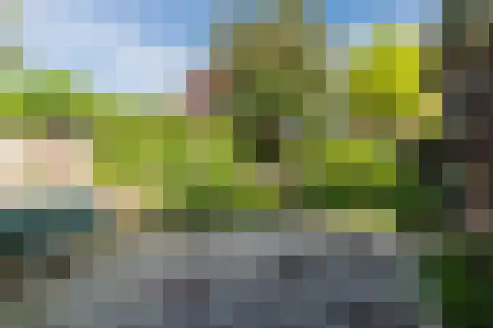 Virmundtstraat 84 Gemert thumbnail 28