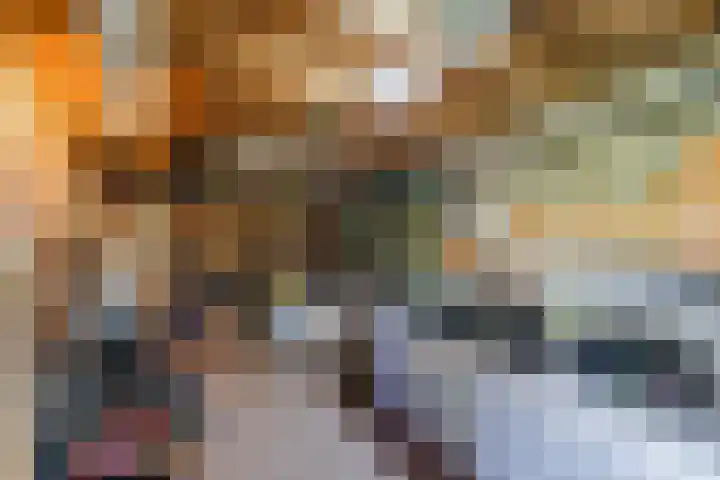 Virmundtstraat 84 Gemert thumbnail 30