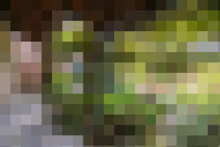 Virmundtstraat 84 Gemert thumbnail 31