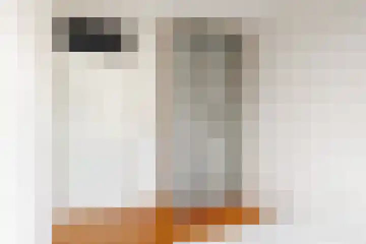 Virulypad 31 Leiden thumbnail 11