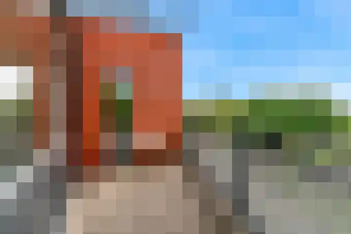 Virulypad 31 Leiden thumbnail 15